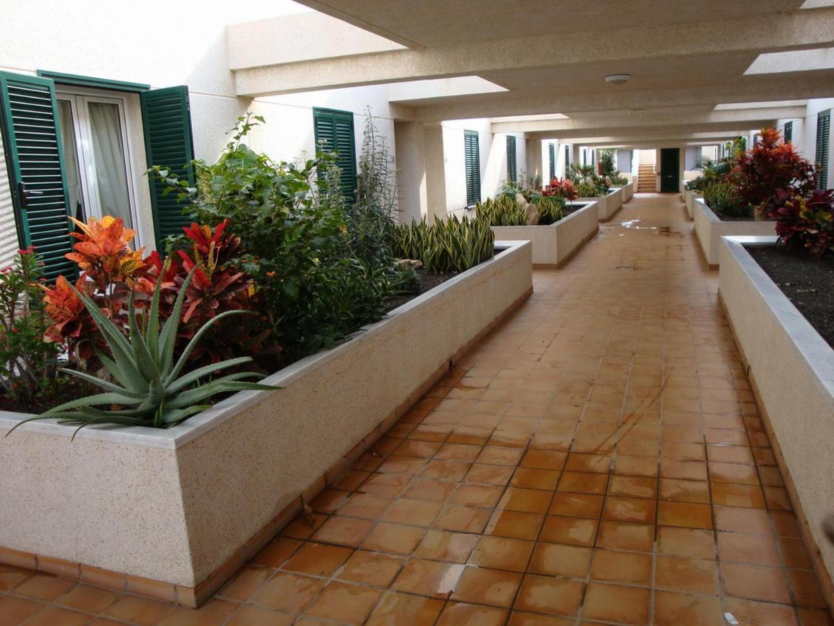 Apartamento Con Jardin Y Piscina En El Balancon Leilighet El Médano Eksteriør bilde